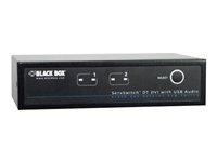 Black Box ServSwitch DT DVI with Bidirectional Audio