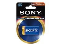 Sony Stamina Platinum 6AM6PT-B1D