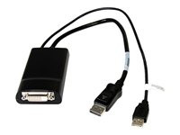 StarTech.com DisplayPort to DVI Dual Link Active Converter – USB Powered