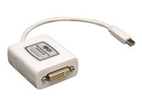 Tripp Lite 6in Mini DisplayPort to DVI Adapter Converter mDP to DVI-I M/F 6"