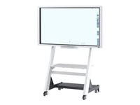 Ricoh Interactive Flat Panel Display D5520 Interactive Whiteboard w/LED Display