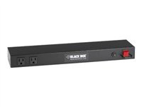 Black Box All-in-One Power and Surge Protector