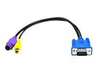 Black Box VGA to Composite and S-Video Adapter Cable