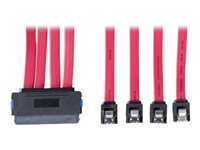 Tripp Lite 20in SAS Internal SAS Cable SFF-8484 to 4x 7Pin 4-in-1 20"