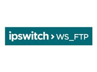 WS_FTP Server Basic