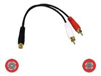 C2G Value Series 6in Value Series One RCA Female to Two RCA Male Y-Cable