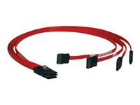 Tripp Lite 3ft Internal SAS Cable 4-Lane Mini-SAS SFF-8087 to 4x SATA 7Pin 3'