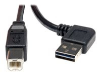 Tripp Lite 6ft USB 2.0 High Speed Cable Reversible Right / Left Angle A to B M/M 6'