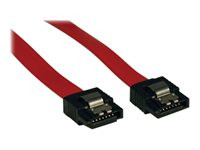 Tripp Lite 8in Serial ATA SATA Latching Signal Cable 7Pin / 7Pin M/M 8"