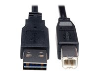 Tripp Lite 10ft USB 2.0 High Speed Cable Reverisble A to B M/M 10'
