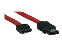 Tripp Lite 3ft Transition Cable SATA to eSATA 7Pin / 7Pin M/M 3'