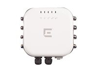 Extreme Networks ExtremeWireless AP3965e Outdoor Access Point