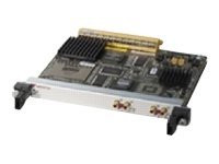 Cisco Channelized T3 (DS0) Shared Port Adapter