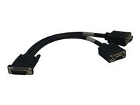 Tripp Lite 1ft DMS-59 to 2x VGA Splitter Cable M/Fx2 1'