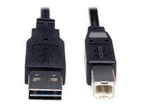 Tripp Lite 6ft USB 2.0 High Speed Cable Reverisble A to B M/M 6'