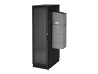 Black Box ClimateCab NEMA 12 Server Cabinet with M6 Rails