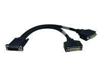 Tripp Lite 1ft DMS-59 Graphics Card to Dual DVI Splitter Y Cable M/Fx2 1'