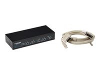 Black Box ServSwitch DT with USB 2.0 Transparent Kit
