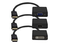 AddOn 8in DisplayPort to DVI/HDMI/VGA Adapter Cable
