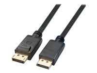 Axiom DisplayPort cable