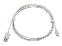 Compulocks 6 feet long 10 pins (lightning) iPad charging cable