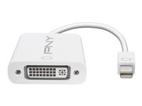 PNY DisplayPort adapter