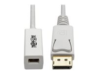 Tripp Lite 6in DisplayPort to Mini DisplayPort Adapter Cable 4k x 2k @ 60Hz M/F 6"