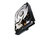Seagate Constellation CS ST1000NC001