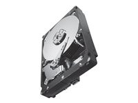 Seagate Constellation ES.2 ST32000646NS