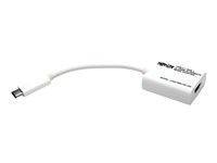 Tripp Lite USB C to HDMI Video Adapter Converter 4Kx2K M/F, USB-C to HDMI, USB Type-C to HDMI, USB Type C to HDMI 6in