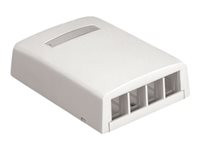 Panduit NetKey surface mount box