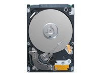 Seagate Momentus STBD1000100