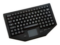 iKey FT-88-911-TP-USB-P