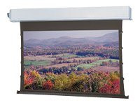 Da-Lite Tensioned Advantage Electrol HDTV Format w/ Low Voltage Control System