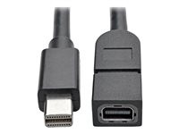 Tripp Lite Mini DisplayPort Extension Cable, 4K x 2K (3840 x 2160) @ 60 Hz, HDCP 2.2 (M/F), 10 ft