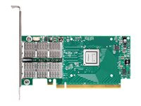 Mellanox ConnectX-4 VPI MCX455A-ECAT