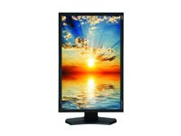 NEC MultiSync PA241W-BK