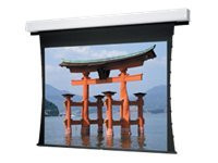 Da-Lite Tensioned Advantage Deluxe Electrol HDTV Format