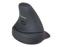 Ergoguys Rockstick 2 Large