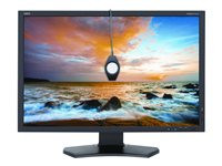 NEC MultiSync PA242W-BK-SV