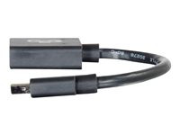 C2G 6in Mini DisplayPort to DisplayPort Adapter