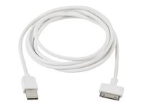 Compulocks 6 feet long 30 pins iPad charging cable