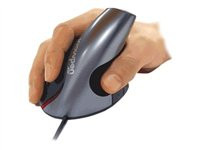 Ergoguys Wow Pen JOY