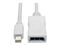 Tripp Lite 6ft Mini DisplayPort 1.2a to DisplayPort Cable Adapter and Video Converter, 4K x 2K/3840 x 2160 (M/F) @ 60 Hz, HDCP 2.2, 6 ft