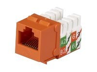 Black Box GigaTrue 2 CAT6 Jack