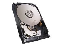 Seagate NAS HDD ST4000VN000