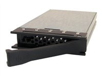 CRU DataPort Data Express DX 115 Carrier, SATA II/SAS