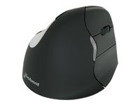 Evoluent VerticalMouse 4