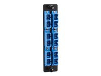 Black Box HD Adapter Panel