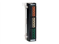 Panduit NetKey Modular Faceplate Patch Panel